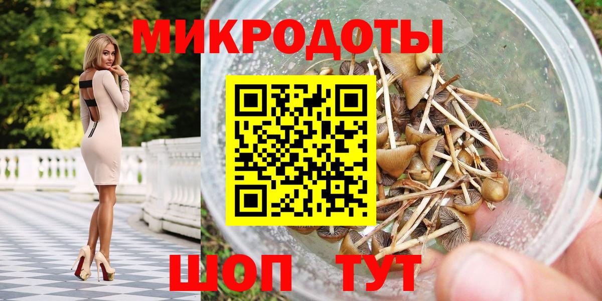 Псилоцибиновые грибы прущие грибы Чайковский
