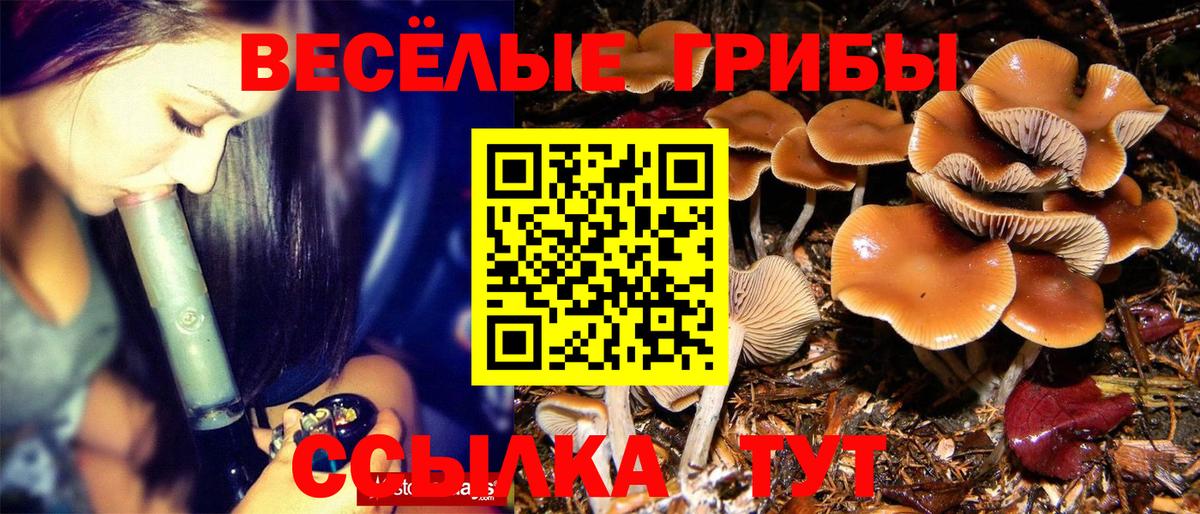 Галлюциногенные грибы ЛСД  Вход с VPN  Чайковский 